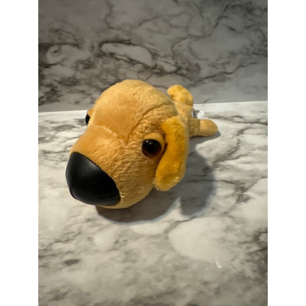 The Dog golden retriever